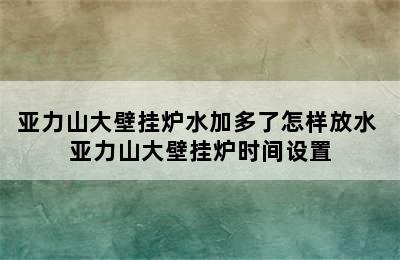 亚力山大壁挂炉水加多了怎样放水 亚力山大壁挂炉时间设置